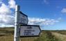 South Uist: Signs at Loch Druidibeg