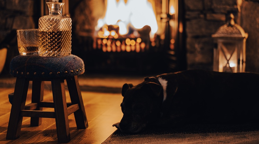 The dog in front of a roaring fire and a bottle of whisky and glass