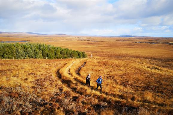 North Uist: Langass Woods runners