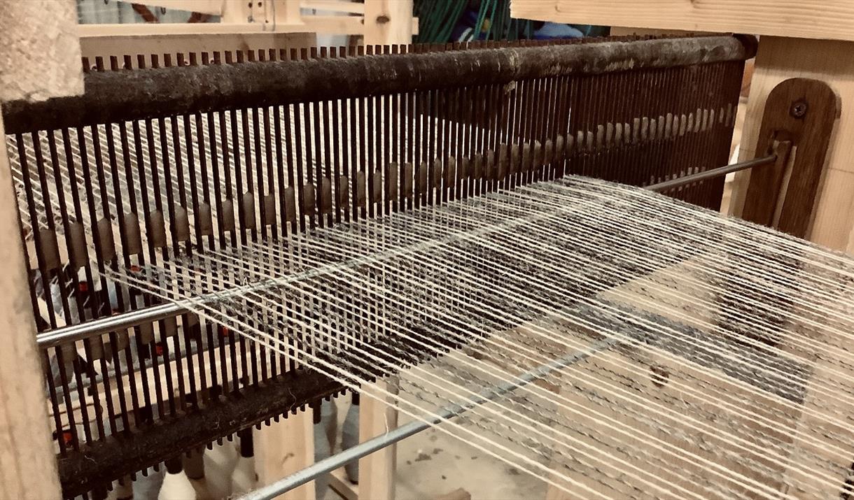 Borrisdale Tweed warp