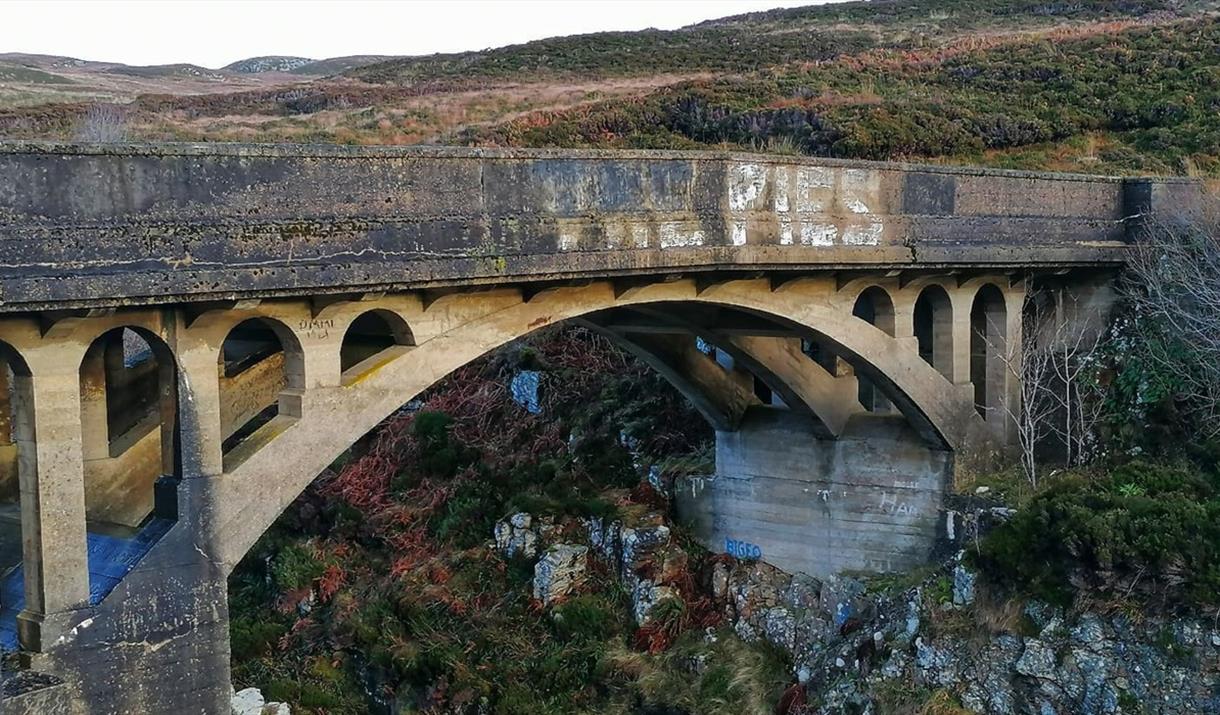 Bridge to Nowhere, Tolsta