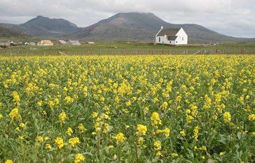 Howmore Beach and Machair