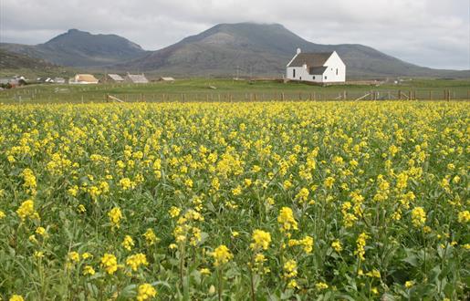 Howmore Beach and Machair