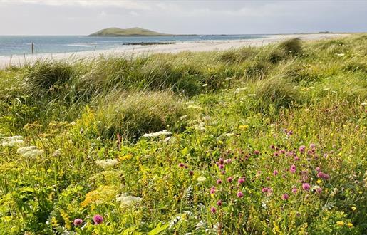 Garrynamonie Machair & Beach