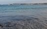 Walks by the Atlantic are easily accessible from grinneabhat