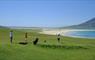 The Beach House golfers playing close to beach