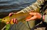 South Uist Fishing holding a fish