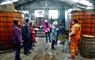 Western Isles Tour Guides Association Inside the Abhainn Dearg Distillery in Uig, Isle of Lewis