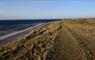 South Uist: Track along machair