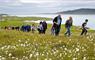 Ceolas, Isle of South UIst - walking tour in Eriskay