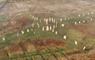 Calanais from above, Credit Lewis Dronescapes