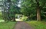 Woodland path, Lews Castle Grounds