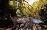River Creed, Castle Grounds Stornoway