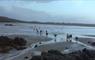 John's Bunkhouse sheep on beach
