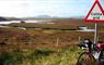 Lewis: cattle grid sign at Laxay