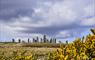 Lewis and Harris Guided Tours Callanish Stones