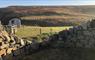 SEApods - Isle of Lewis stone wall