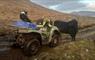 The Mission House at Mulag House quad bile with dog & black cow