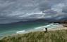 The Sheep Station cloudy beach & sheep