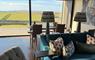 The Sheep Station - House Two blue sofa and lamps