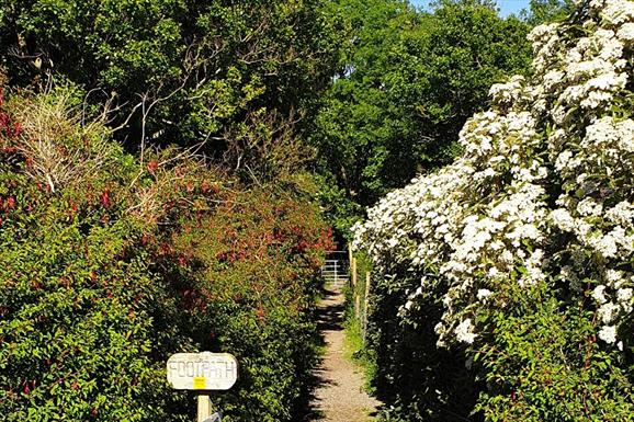 Arinaban Woodland