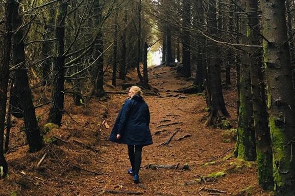 Langass Woodland