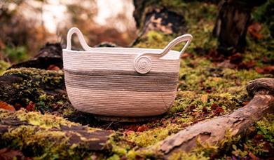Dragons are real basket