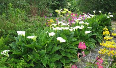 Leathad Ard Garden