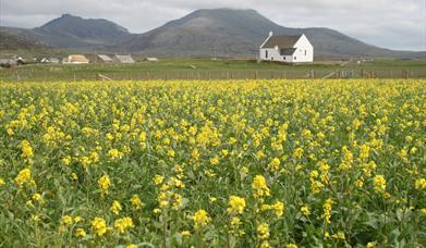 Howmore Beach and Machair