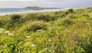Garrynamonie Machair & Beach