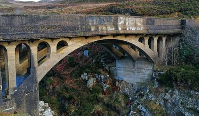 Bridge to Nowhere, Tolsta