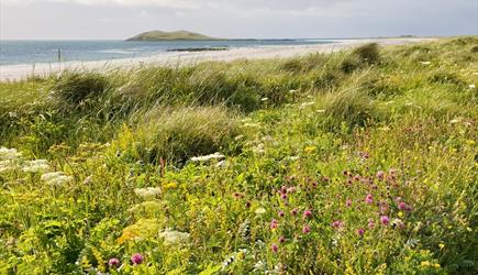 Garrynamonie Machair & Beach