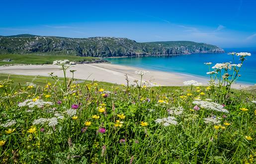 Cliff Uig, Isle of Lewis. Beach view from top of hill with machair flowers in foreground and sandy beach, turquoise waters and hills in the background